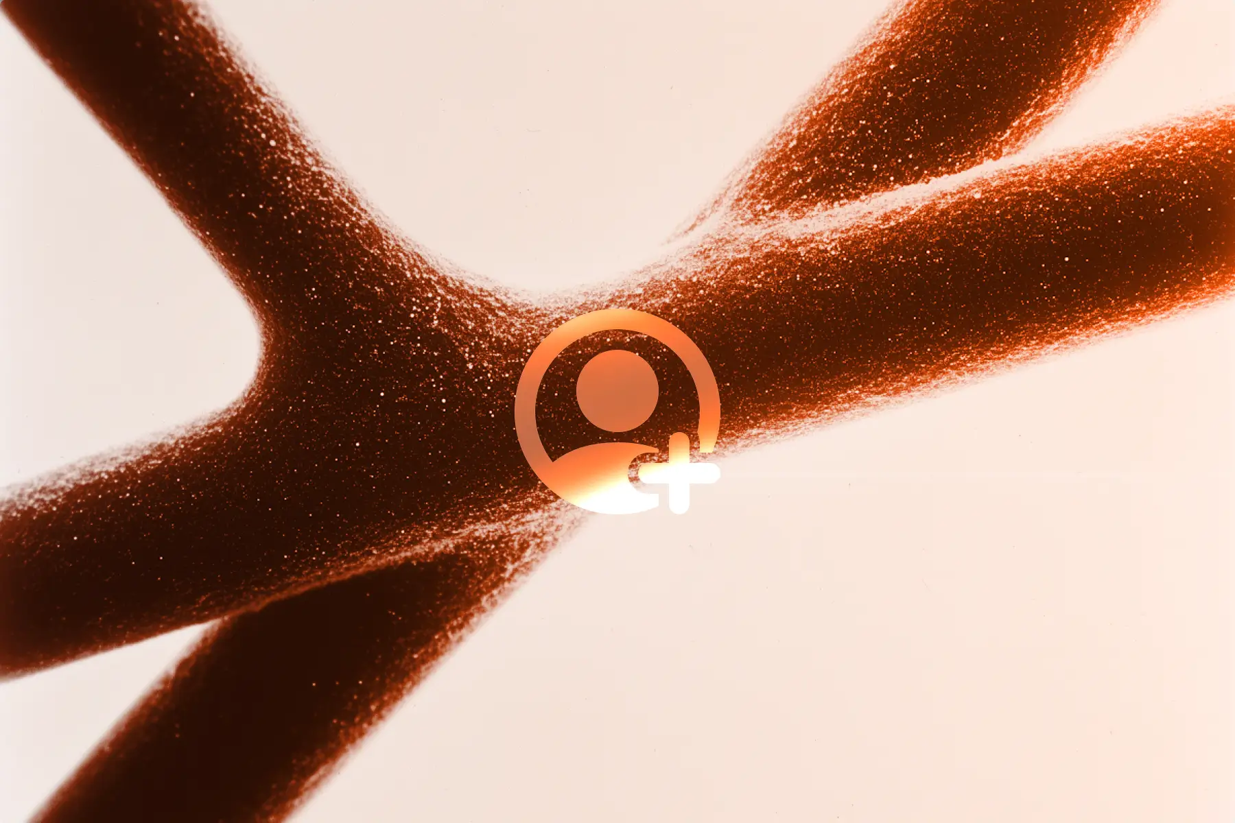 Transform Your Brand’s Digital Presence