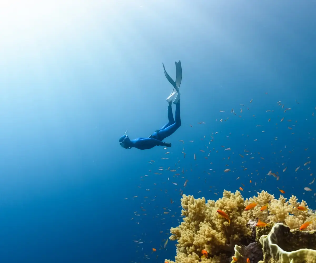 100% Transparent Workflow & Honest Communication