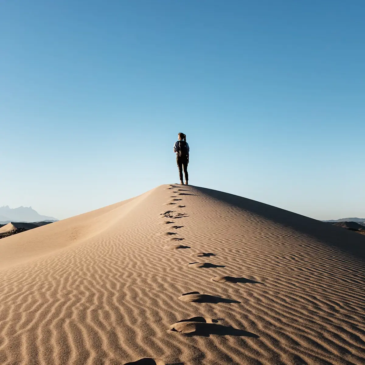 Empowering Talents for Success